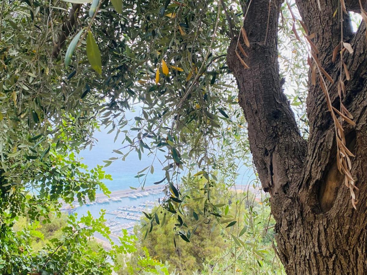 “Da Senso” Relax Nel Verde Vista Mare Finale Ligure Bagian luar foto